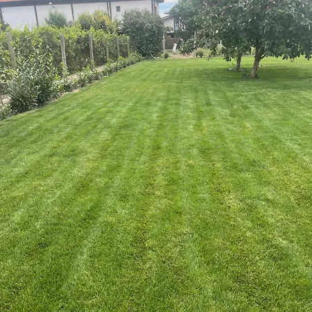 къща бети самостоятелни с двор край пловдив شقة